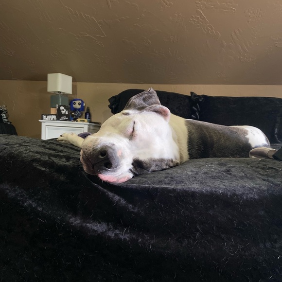 Meet your Posher, Brittney - Picture 10 of 16